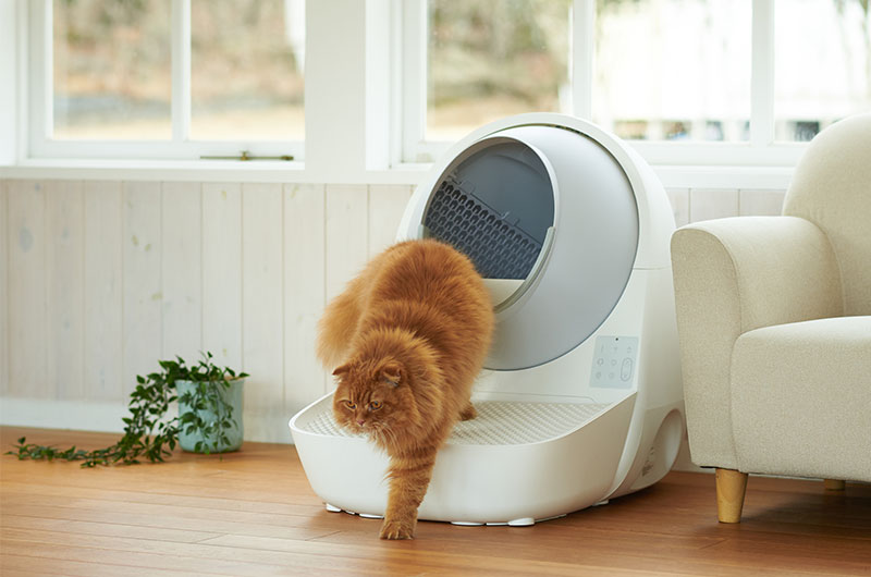 自動猫トイレCATLINK SCOOPER』は専用ステップでこう変わる！さらに