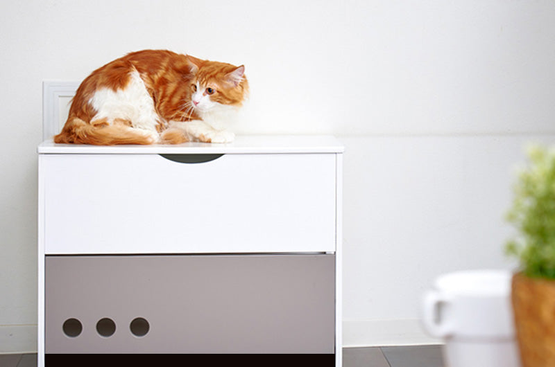 トイレは隠す？隠さない？猫トイレカバーが今人気の謎に迫る！ – OFT STORE