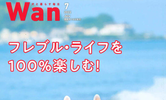 『Wan(わん)2022年7月号』にオラフが登場しました♪