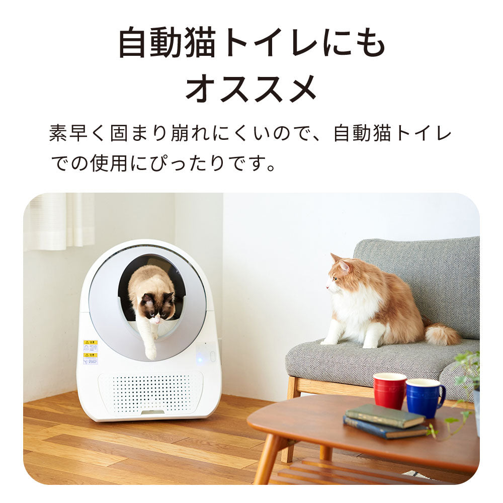 【猫砂メガセット】BOXIE CAT ブラック(7.2kg) 20袋