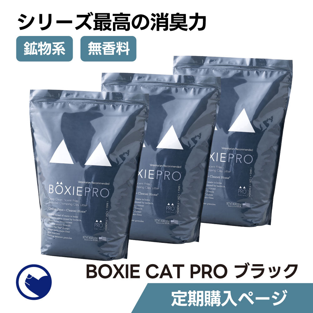 Boxiecat pro clearance