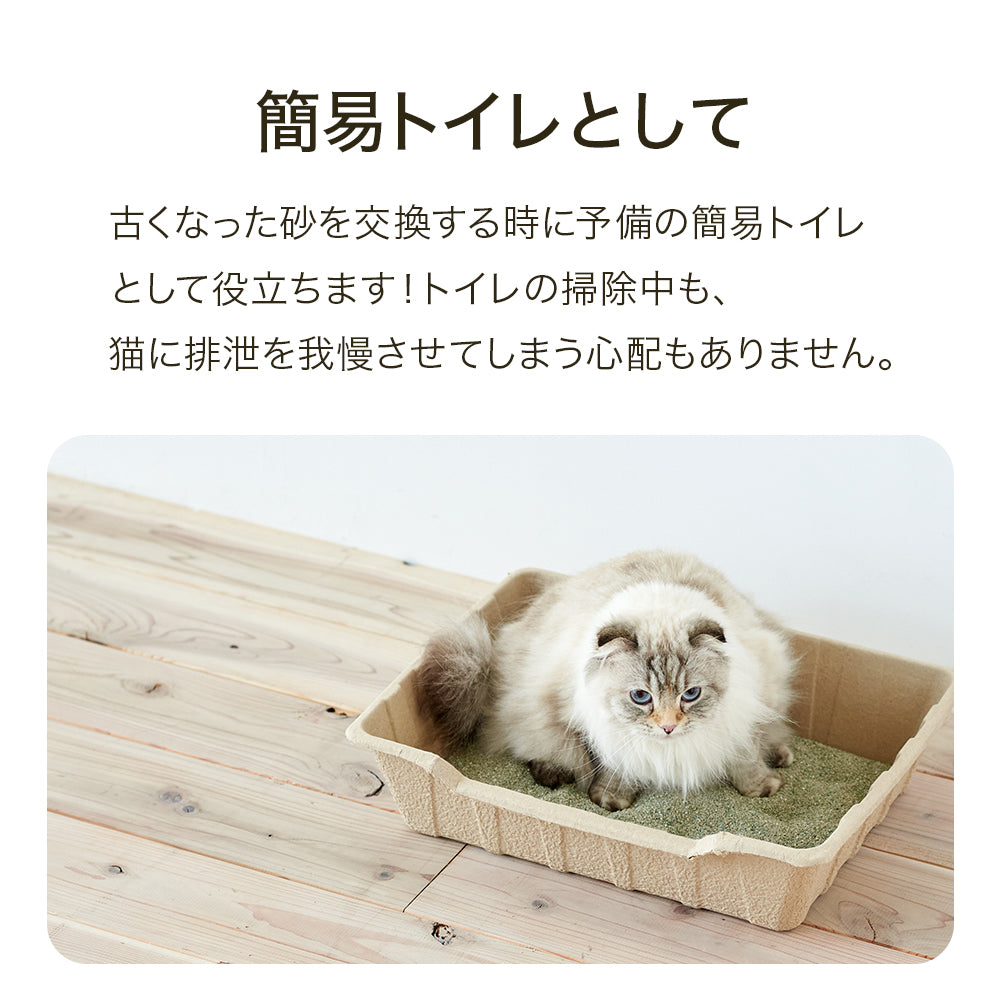 【ハロウィンセール開催中~11/3】 紙の猫トイレ ECO CAT TRAY(エコキャットトレー) 3枚組