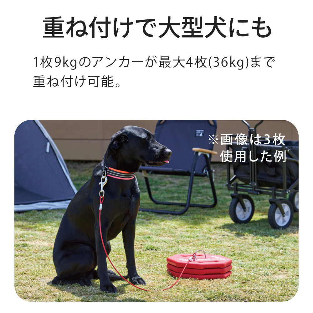 【オータムセール全品5%OFF~10/13】 K9アンカー