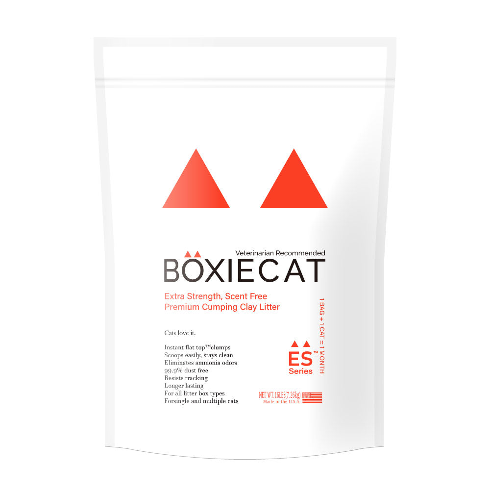 BOXIECAT オレンジ(7.2kg) (定期便/初回限定30%OFF) 送料無料