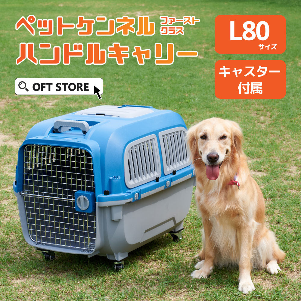 【オータムセール全品5%OFF~10/13】 ペットケンネル・ファーストクラス ハンドルキャリー(L80)