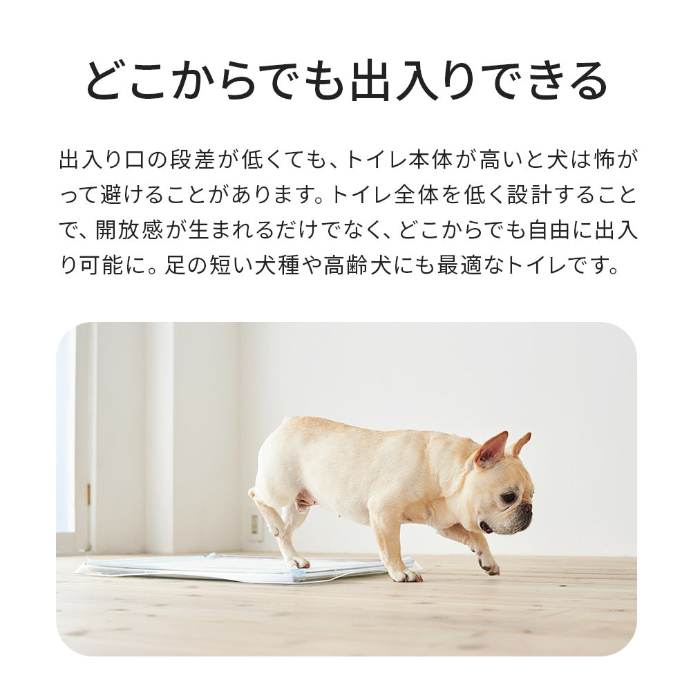 【オータムセール全品5%OFF~10/13】 (専用クリーナープレゼント)クリアレット クーペ Clearlet coupe (ワイドシーツサイズ)