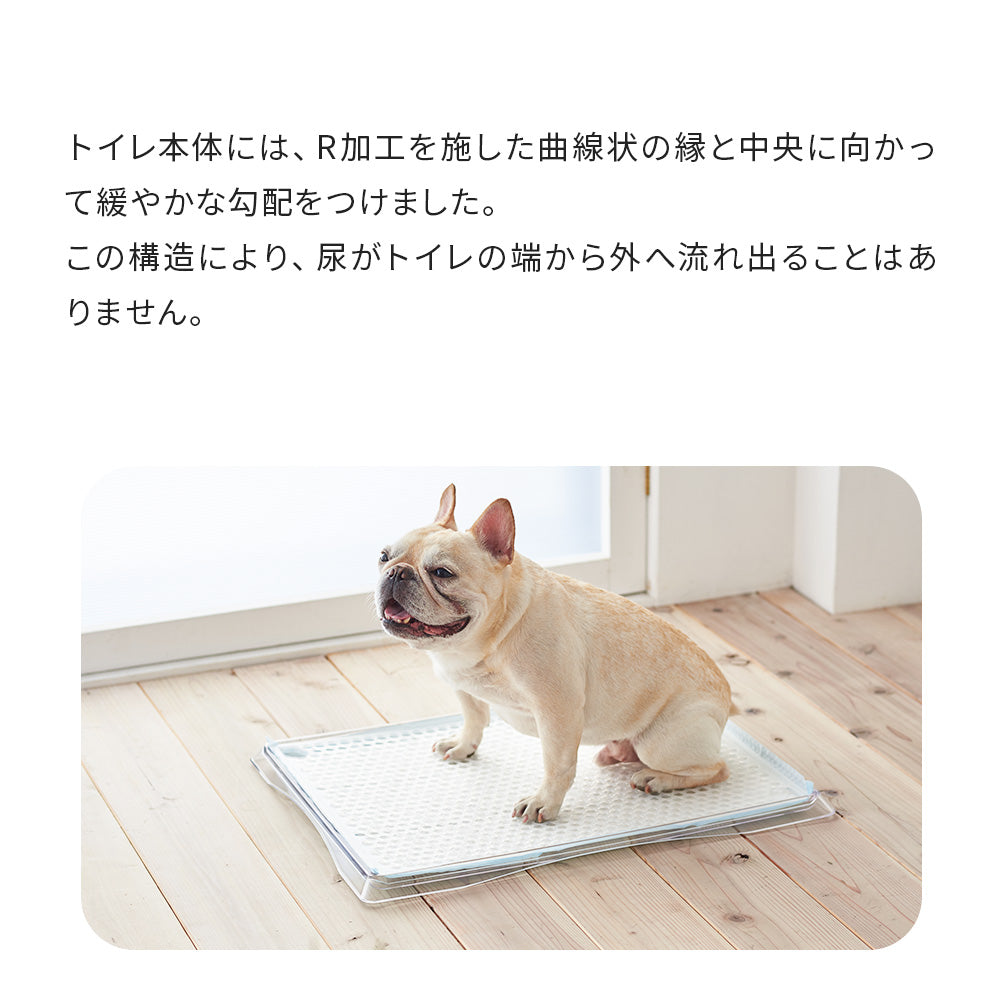 【オータムセール全品5%OFF~10/13】 (専用クリーナープレゼント)クリアレット クーペ Clearlet coupe (ワイドシーツサイズ)