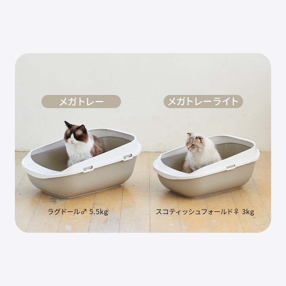 【オータムセール全品5%OFF~10/13】 【再入荷しました!!】メガトレー