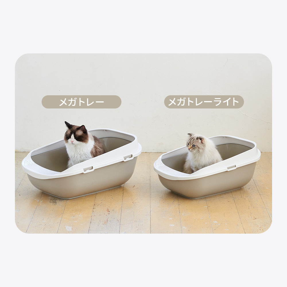 【オータムセール全品5%OFF~10/13】 【再入荷しました!!】メガトレー ライト