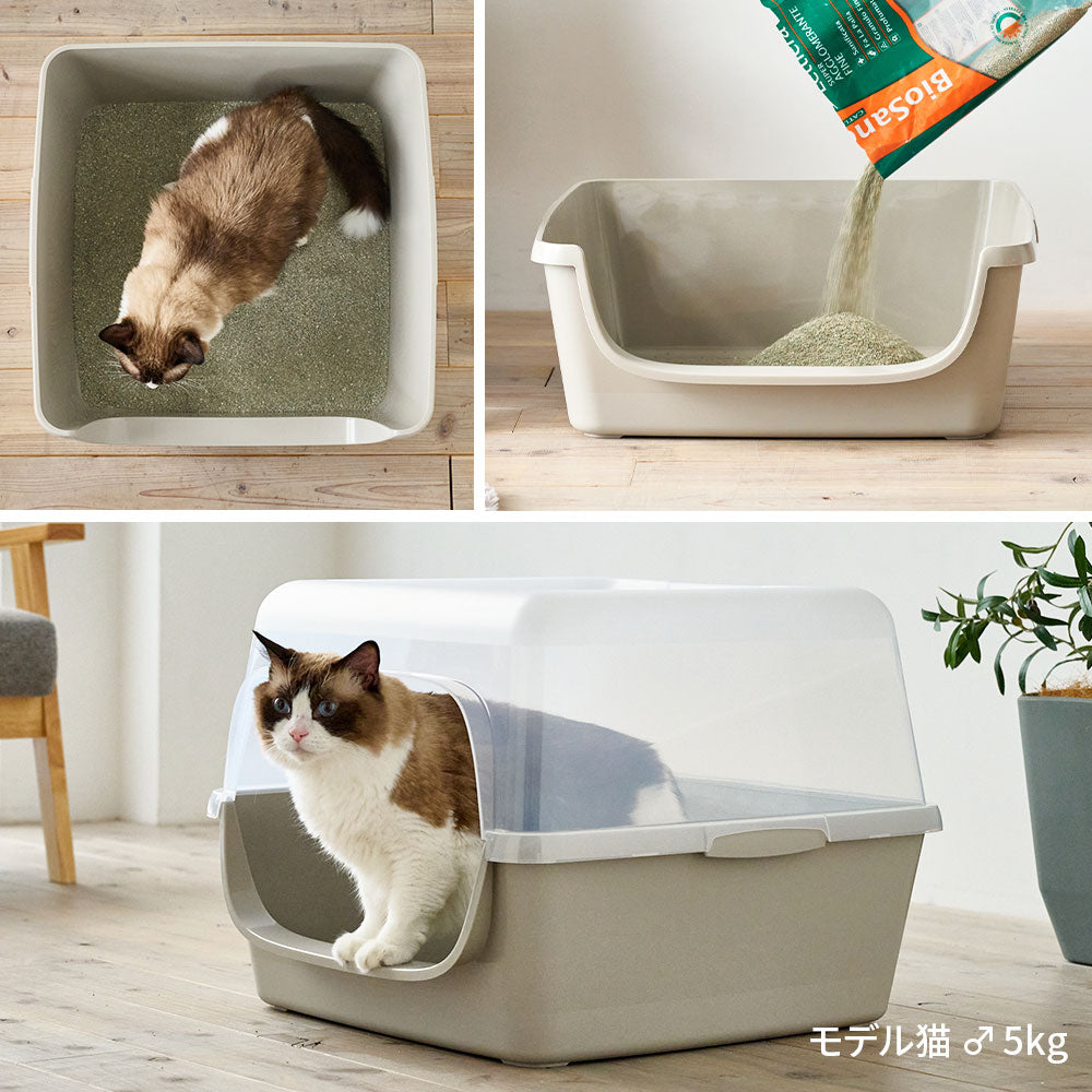 HY NEST(ハイネスト)