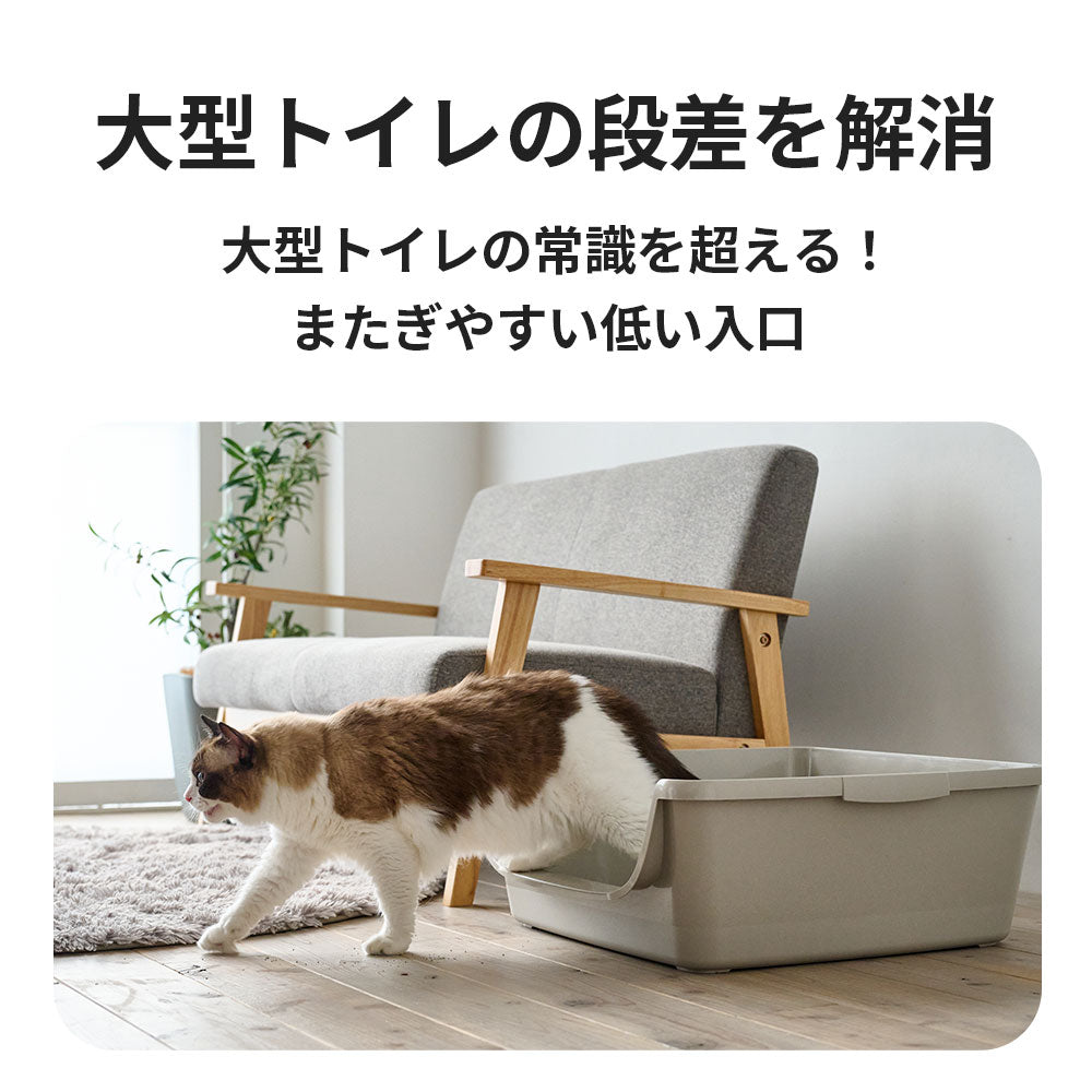 HY SENIOR(ハイシニア)