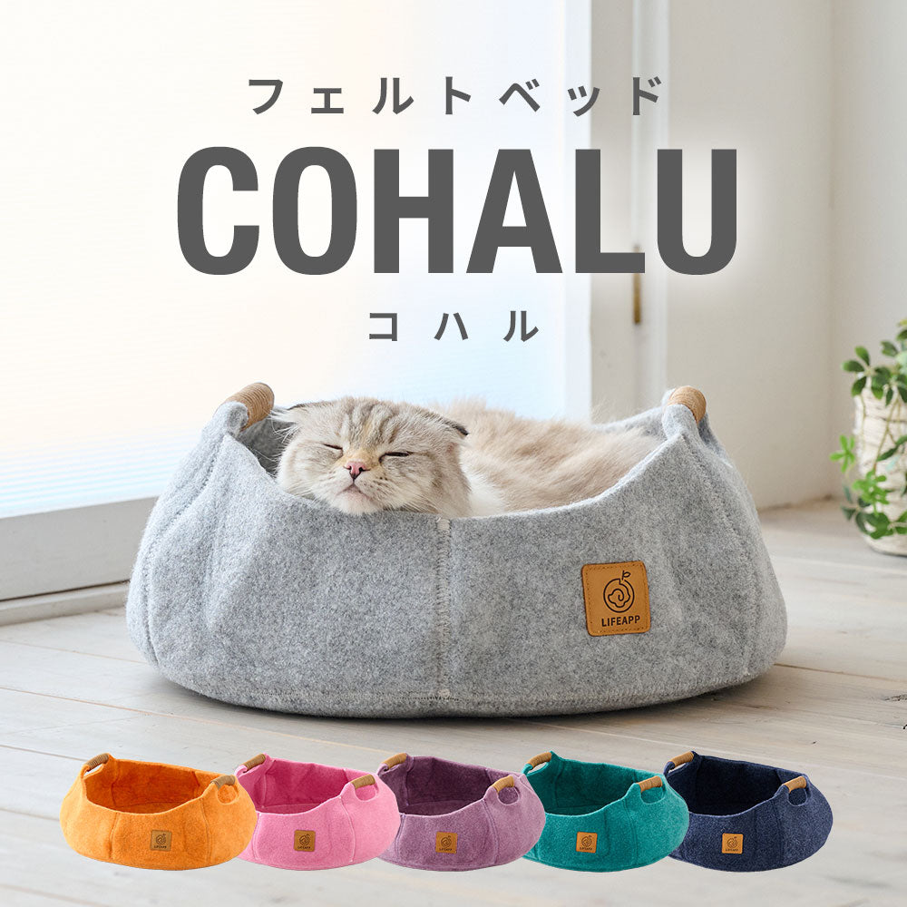 【新商品予約割15%OFF! 9月下旬入荷予定】フェルトキャットベッドCOHALU(コハル)