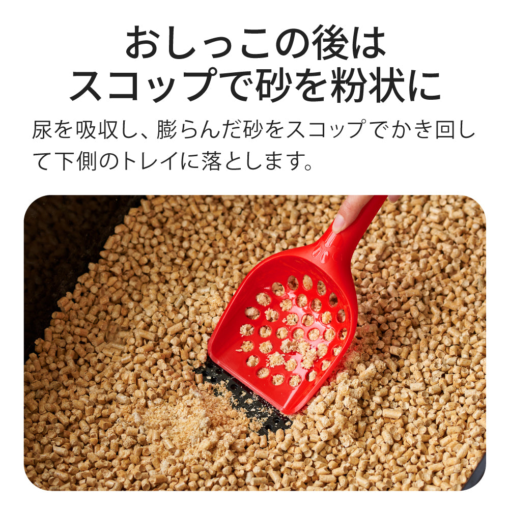 【オータムセール全品5%OFF~10/13】 【再入荷しました】PeeWee エコビッグ スターターセット