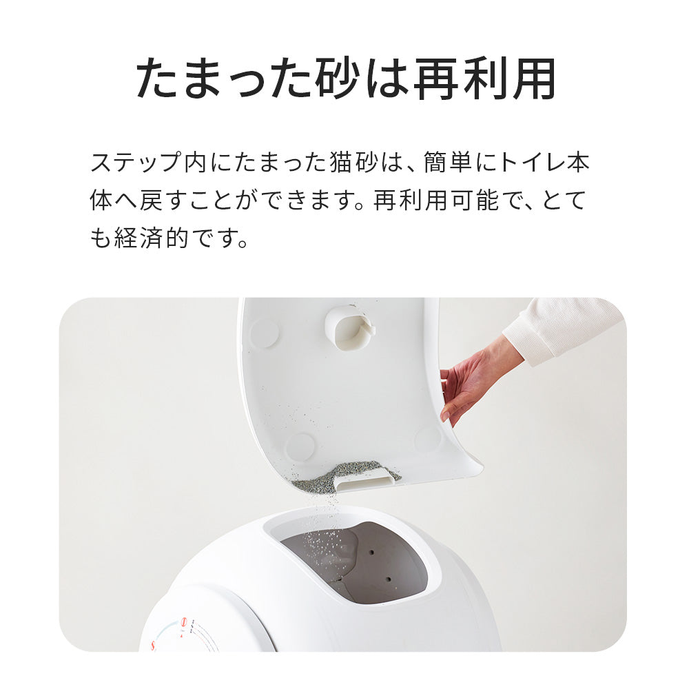 【ハロウィンセール開催中~11/3】 CATLINK SCOOPER SE 専用ステップ