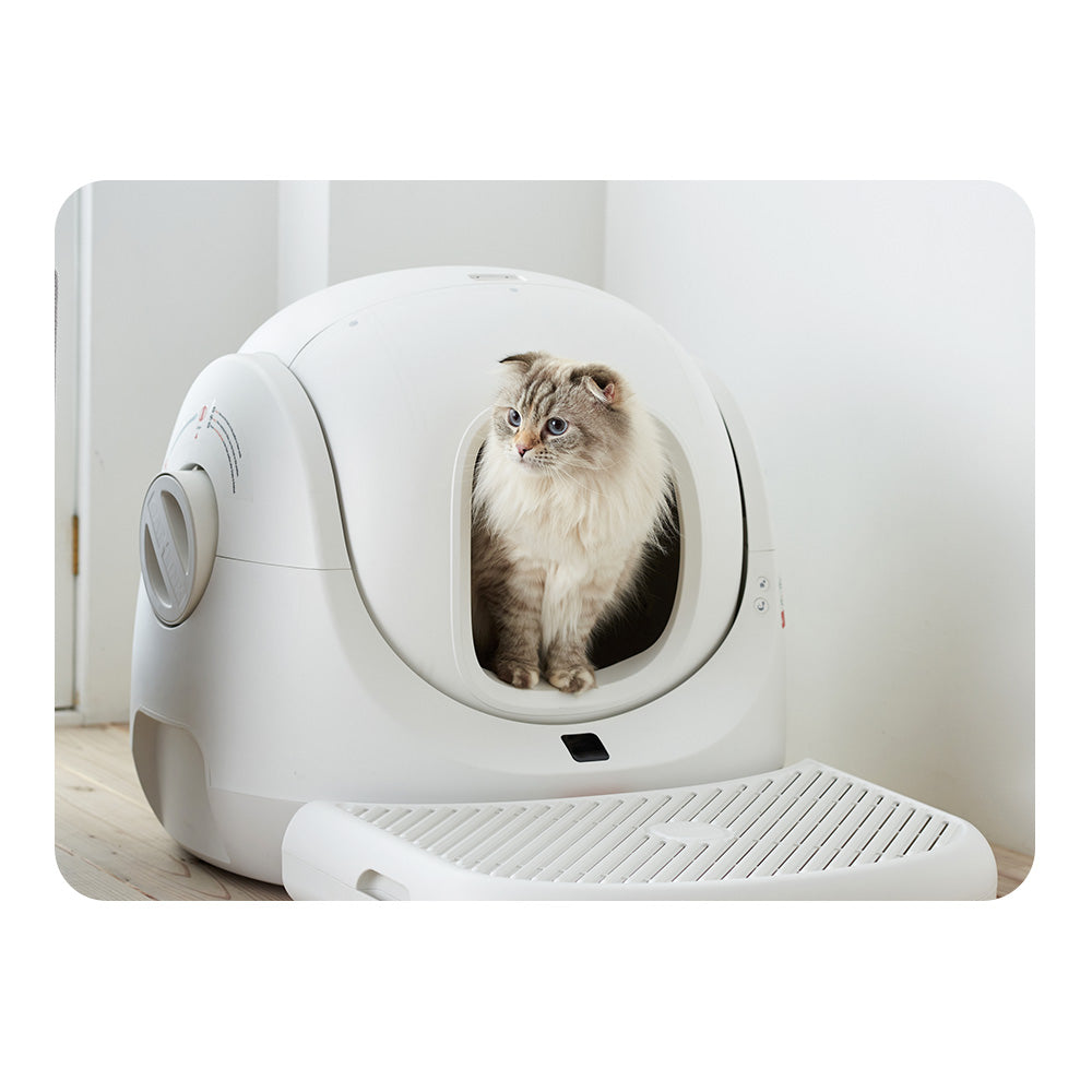 【ハロウィンセール開催中~11/3】 CATLINK SCOOPER SE 専用ステップ