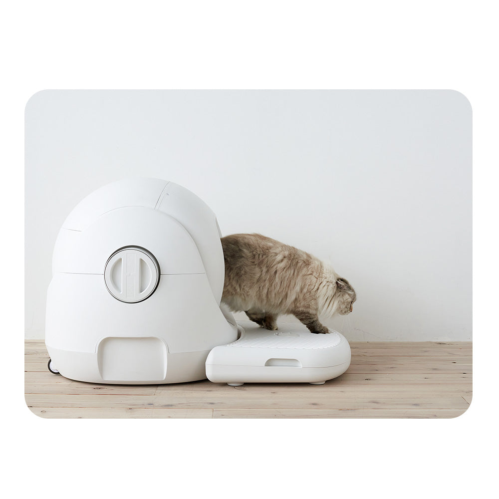 【ハロウィンセール開催中~11/3】 CATLINK SCOOPER SE 専用ステップ