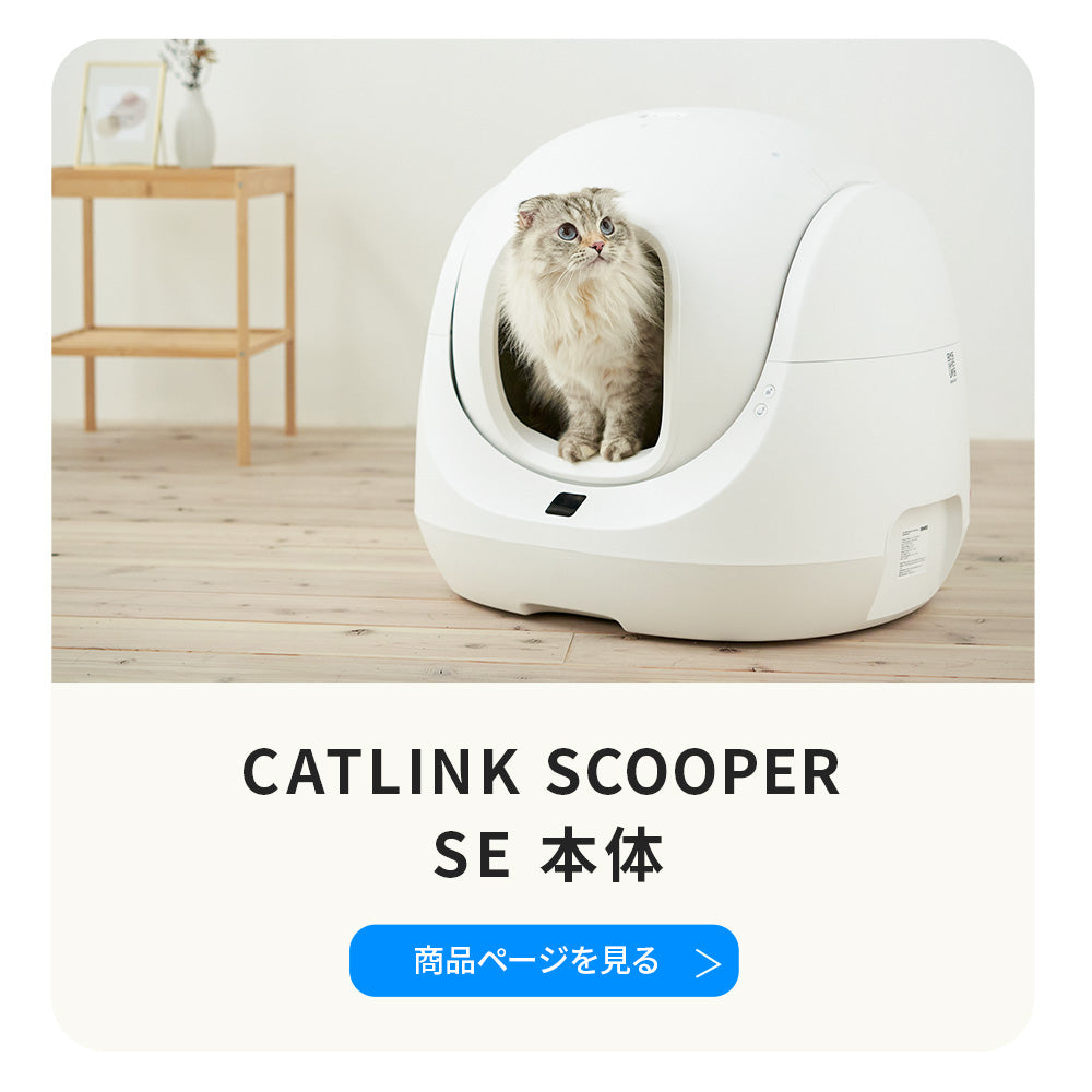 【ハロウィンセール開催中~11/3】 CATLINK SCOOPER SE 専用ステップ