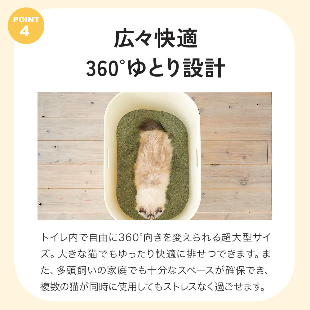 【ハロウィンセール開催中~11/3】 TALL WALL BOX - L