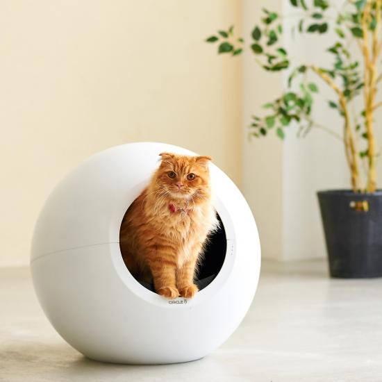 自動ネコトイレ CIRCLE 0(サークルゼロ)と猫