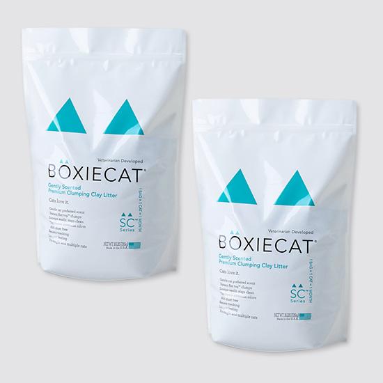 Boxie cat ボクシーキャットグリーン