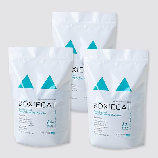 Boxie cat ボクシーキャットグリーン
