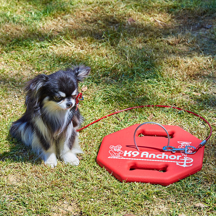 K9アンカー専用ワイヤー(90cm/3m/小ワイヤー)