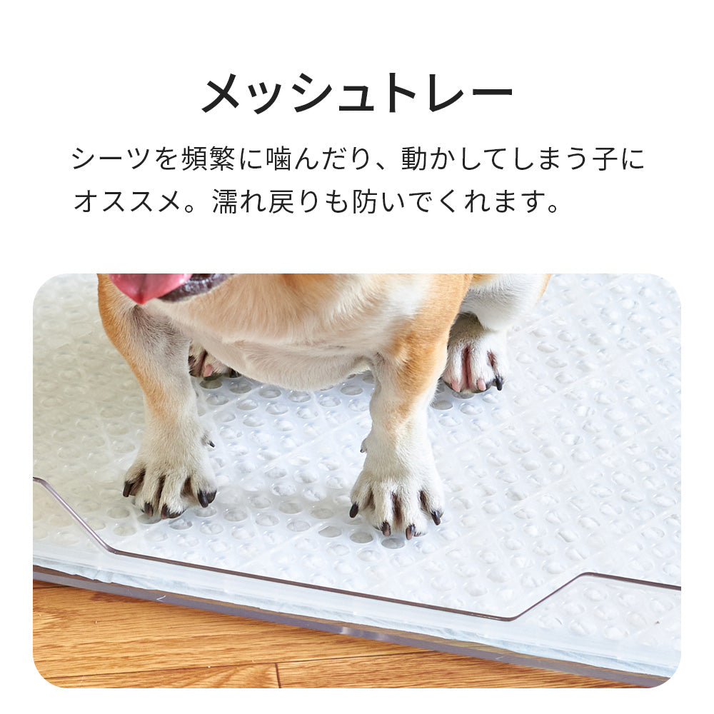 【オータムセール全品5%OFF~10/13】 クリアレット2(L)フルセット (スーパーワイドシーツサイズ)(メッシュトレー、シーツストッパー付き)