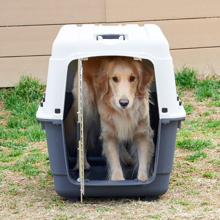 犬用ハードキャリーペットケンネル・ファーストクラスと大型犬