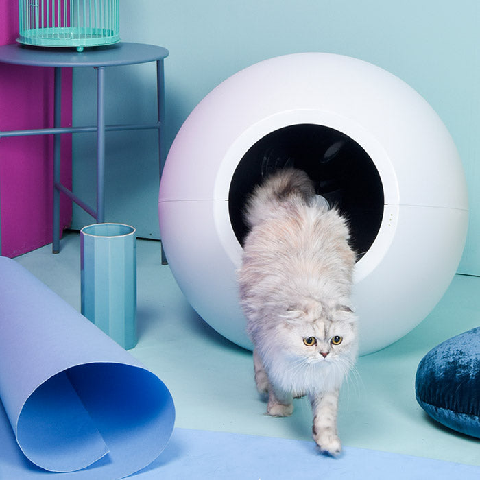 自動ネコトイレ CIRCLE 0(サークルゼロ)と猫