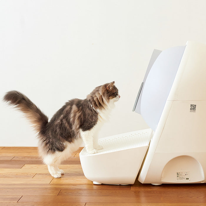 キャットリンク 専用ステップ