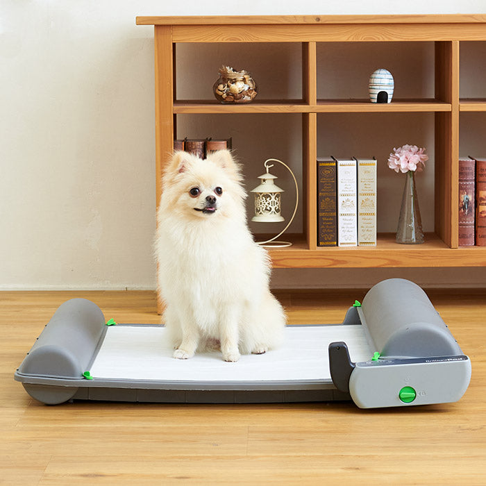 自動犬用トイレ ブリリアントパッドスマート