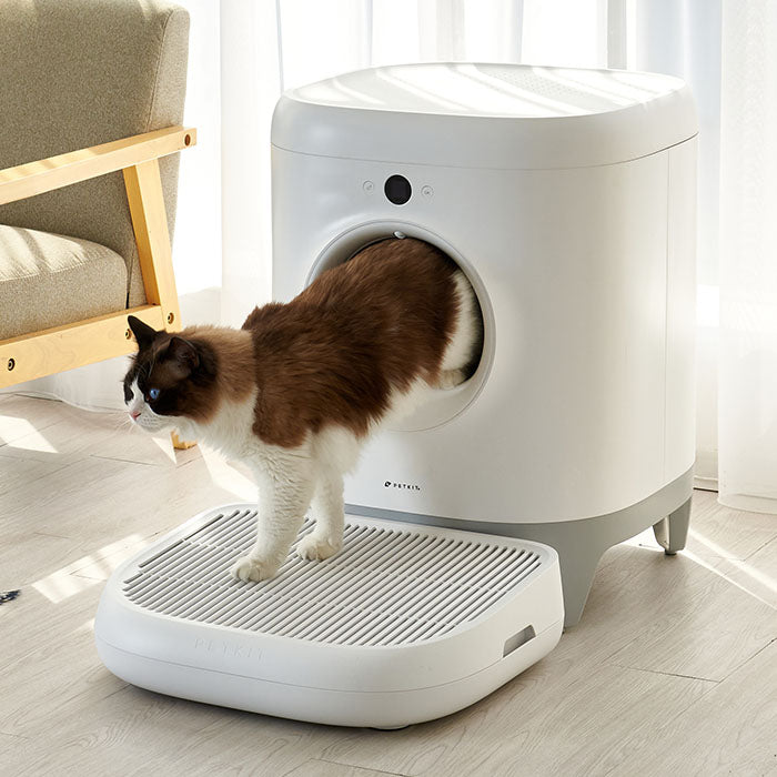 アプリ管理! 自動猫トイレPETKIT Pura Xとラグドール
