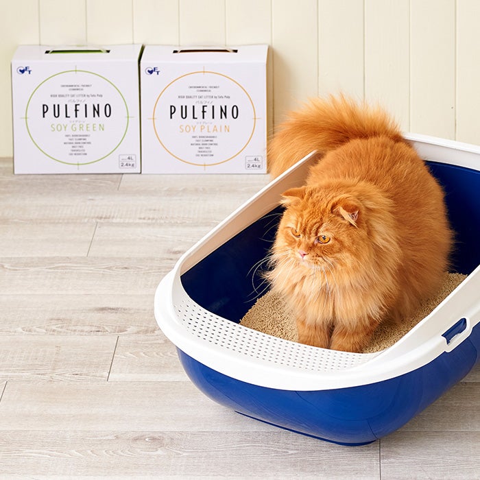 【猫砂メガセット】パルフィノ PULFINO 2.4kg×24箱 グリーン