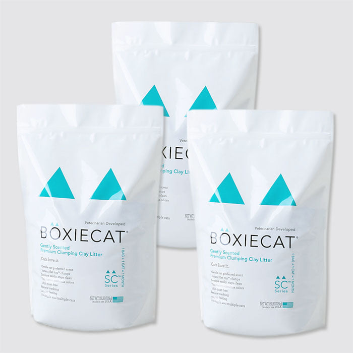 【定期購入/初回限定30%OFF】BOXIECAT グリーン(3個お届けコース)