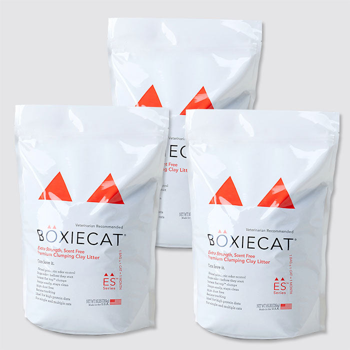 【定期購入/初回限定30%OFF】BOXIECAT オレンジ(3個お届けコース)