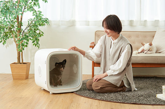 『日経MJ』で CATLINK SMART PET DRYER BOX が紹介されました。