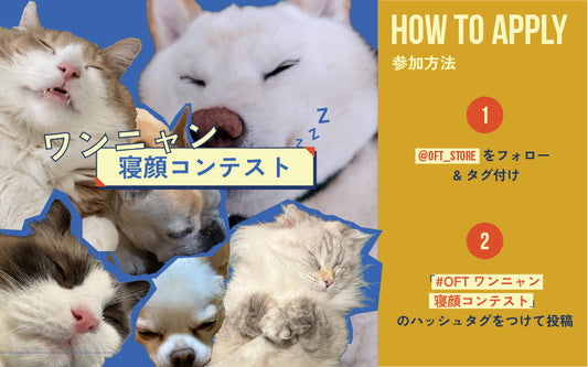 OFT ワンニャン寝顔コンテスト