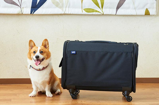 印象に残っているカスタマーサポート