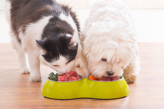 グレインフリーとは？愛犬・愛猫に合うフードの選び方と注意点