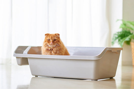 OFTの猫砂ラインナップに悩んだら