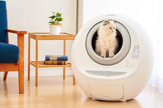 自動猫トイレ新機種MOMEの魅力とは？