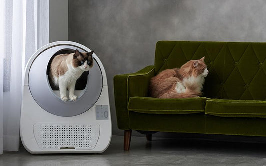 『ねこちゃんホンポ』にて自動ネコトイレ CATLINK SCOOPERが紹介されました。