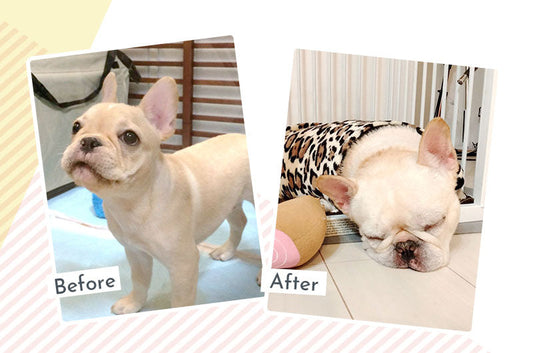 インスタグラムキャンペーン開催中！皆さんの投稿をご紹介します。