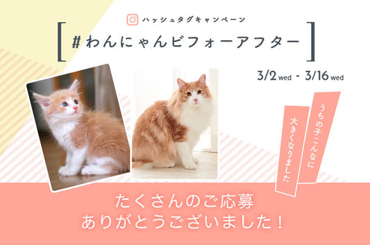 インスタグラムキャンペーン終了！たくさんの投稿ありがとうございました。