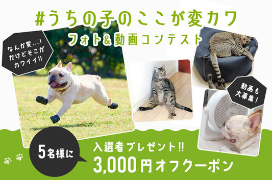 インスタフォトコン #うちの子のここが変カワ 開催中！