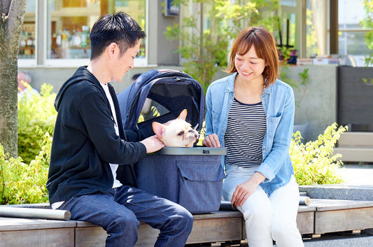 魅力あふれるキャリーコットの使い方