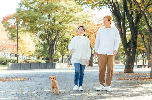 都会暮らしと田舎暮らし、ワンちゃんが幸せなのはどっち？気をつけるポイントは