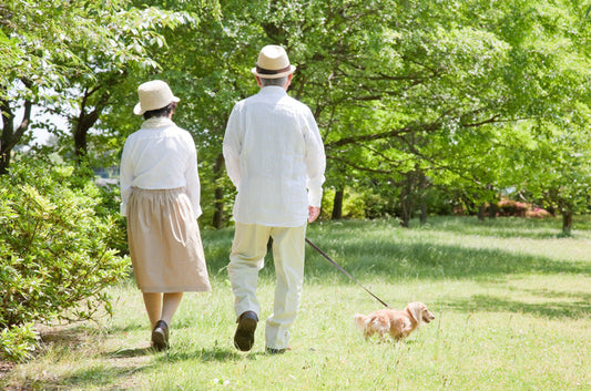 シニア犬との老老介護について考える