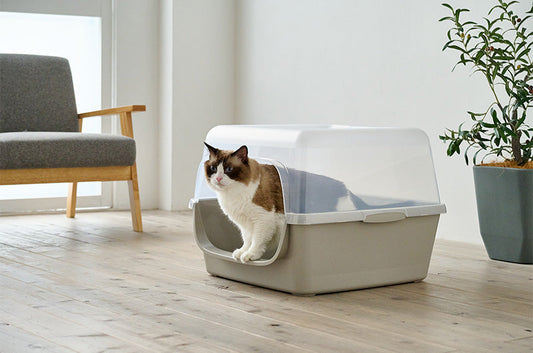 大型猫トイレの常識を刷新する。低い入り口で出入りしやすい『ハイシニア』『ハイネスト』誕生