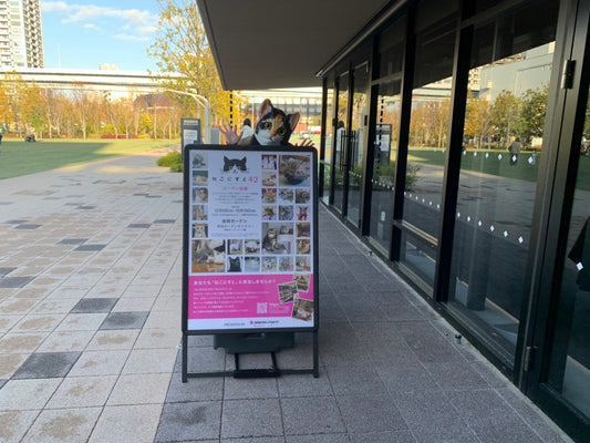 『ねこにすと42～ガーデン猫篇』有明ガーデンにて開催中です♪